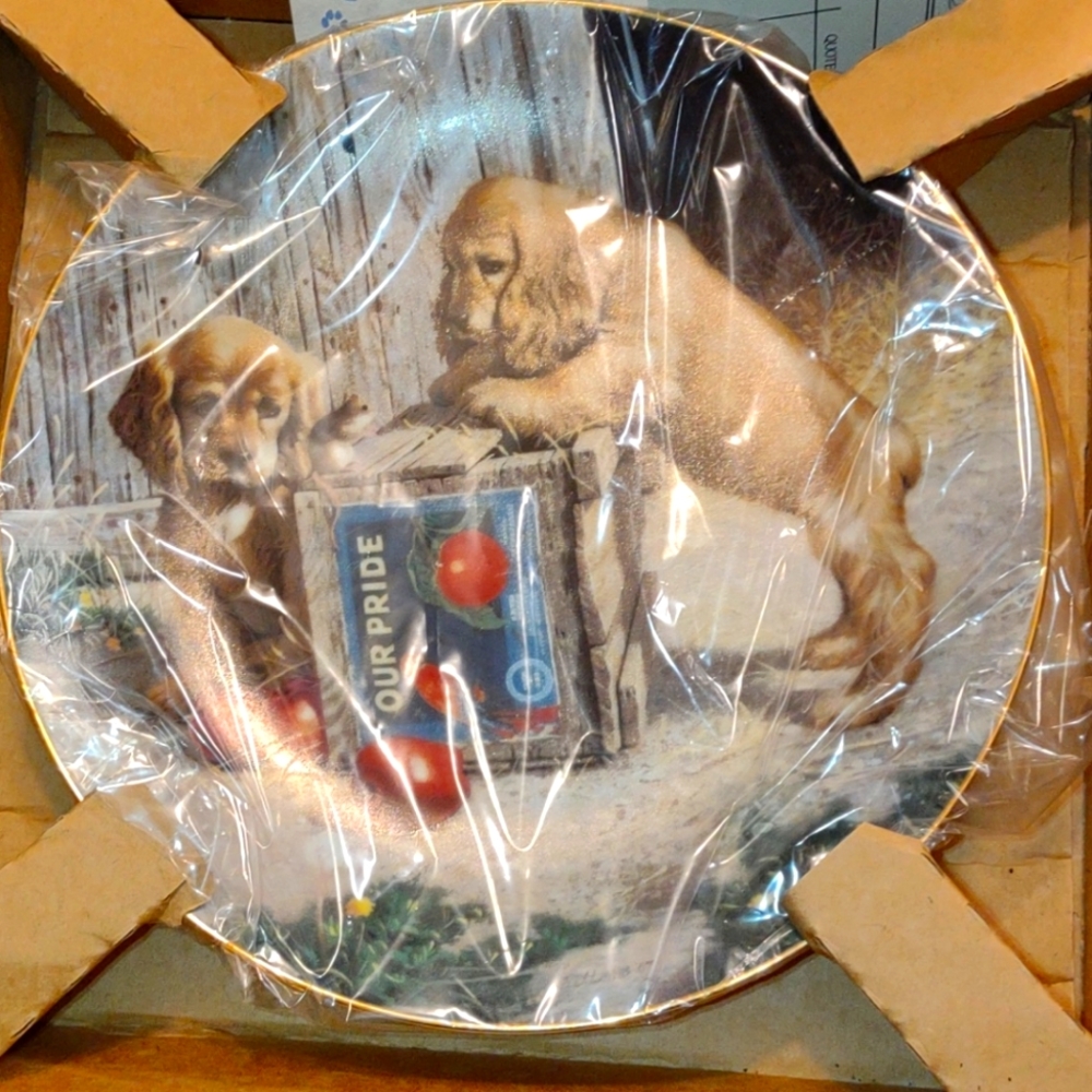 Double take / first issue in the puppy play time